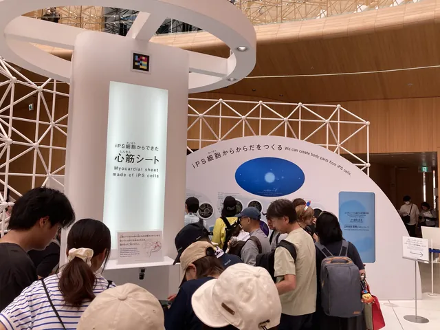 iPS細胞由来の心筋シート展示