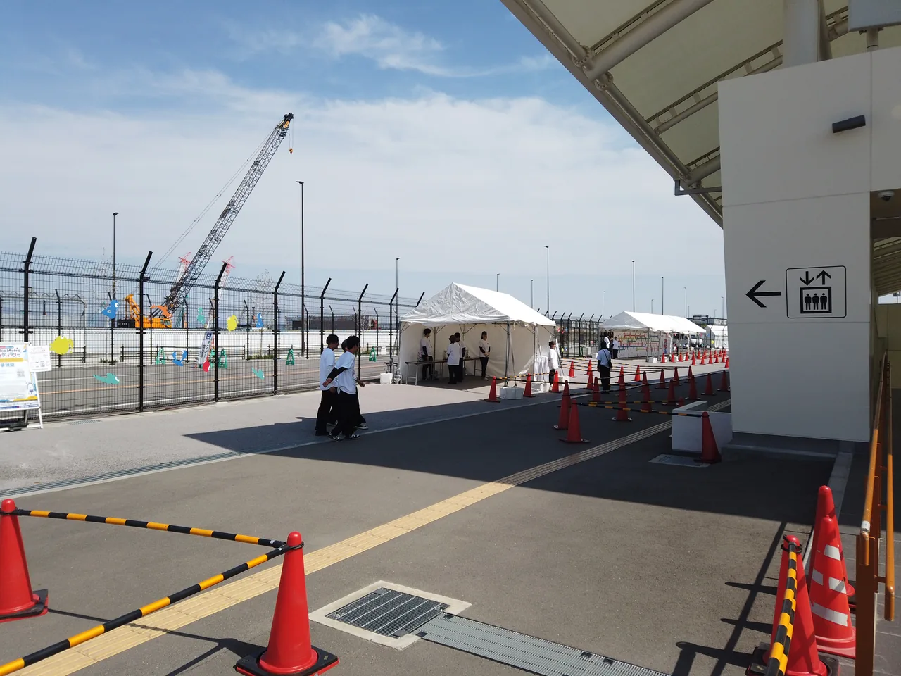 工事用クレーンが何本も立ち並ぶ夢洲の風景