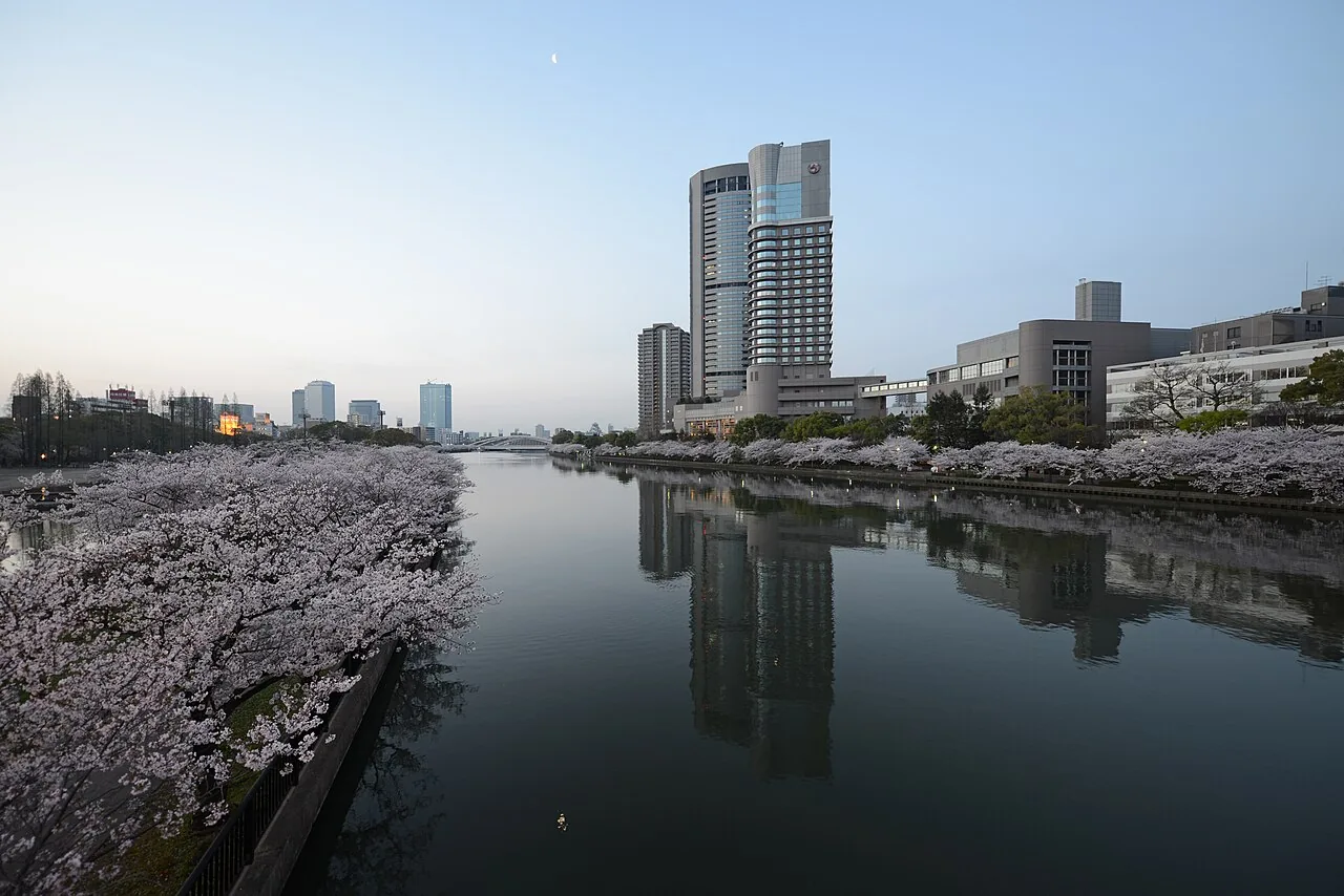 夜明けの大川と毛馬桜之宮公園の桜並木