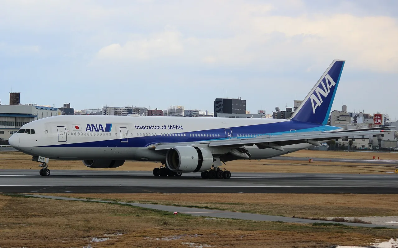 伊丹空港に着陸する全日本空輸のボーイング777型機。車輪を出して滑走路へ降りていく