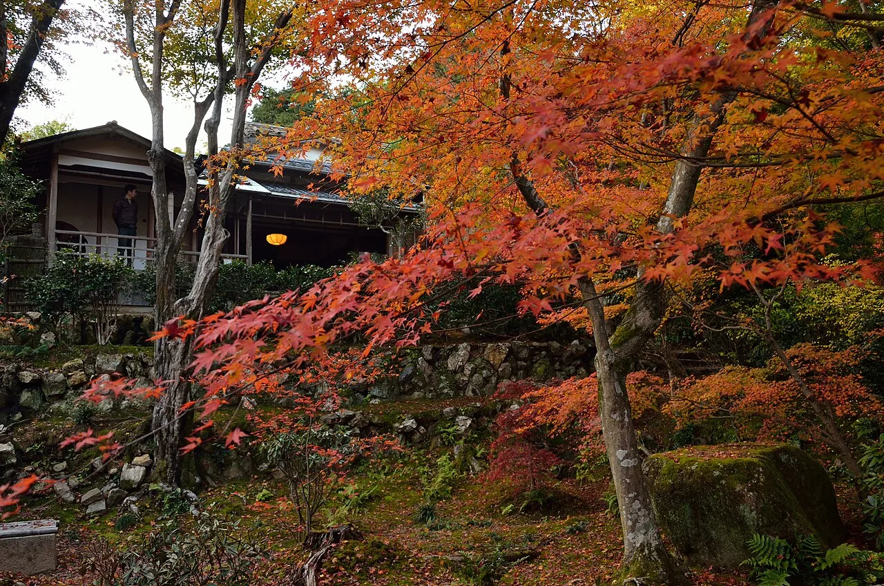 石垣と苔の庭を朱色に染める、京都の寺の紅葉