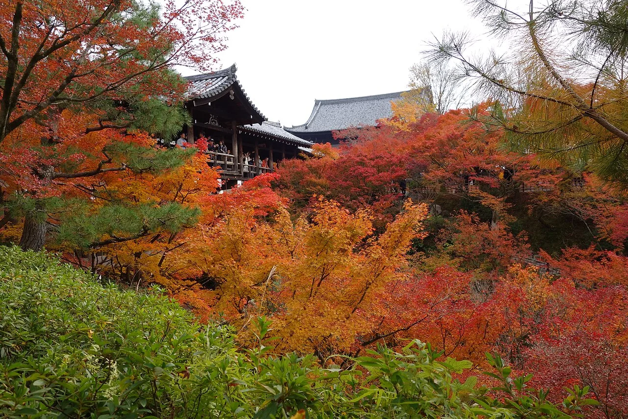 東福寺の通天橋と、雲海のように広がる紅葉