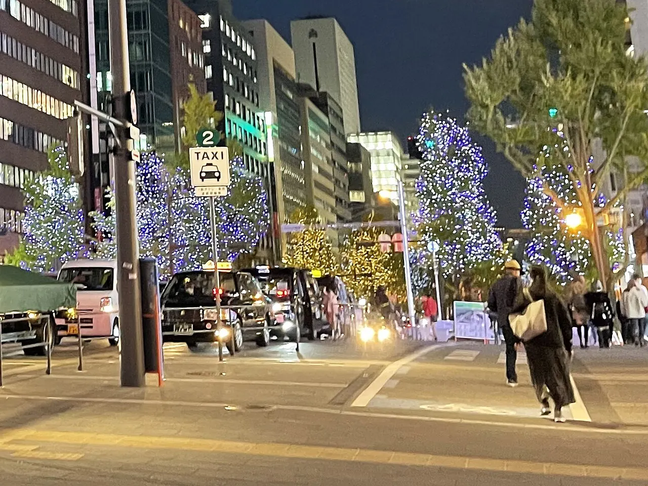 夜の御堂筋。街路樹が青白い電飾に包まれ、歩道を人が歩いている