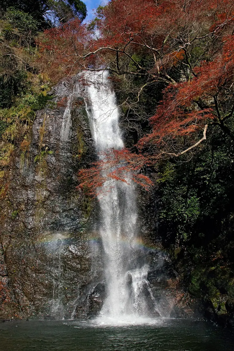 紅葉に囲まれた箕面大滝と、水しぶきにかかる虹