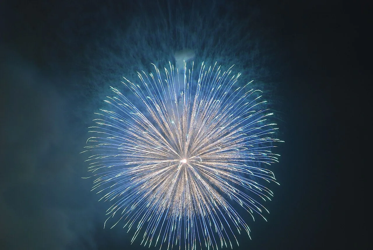 淀川の夜空に開く大輪の花火
