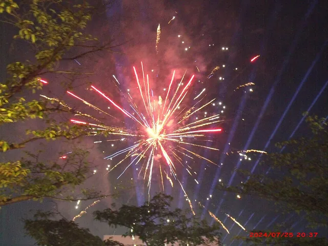 夜空に大きく開く天神祭の奉納花火