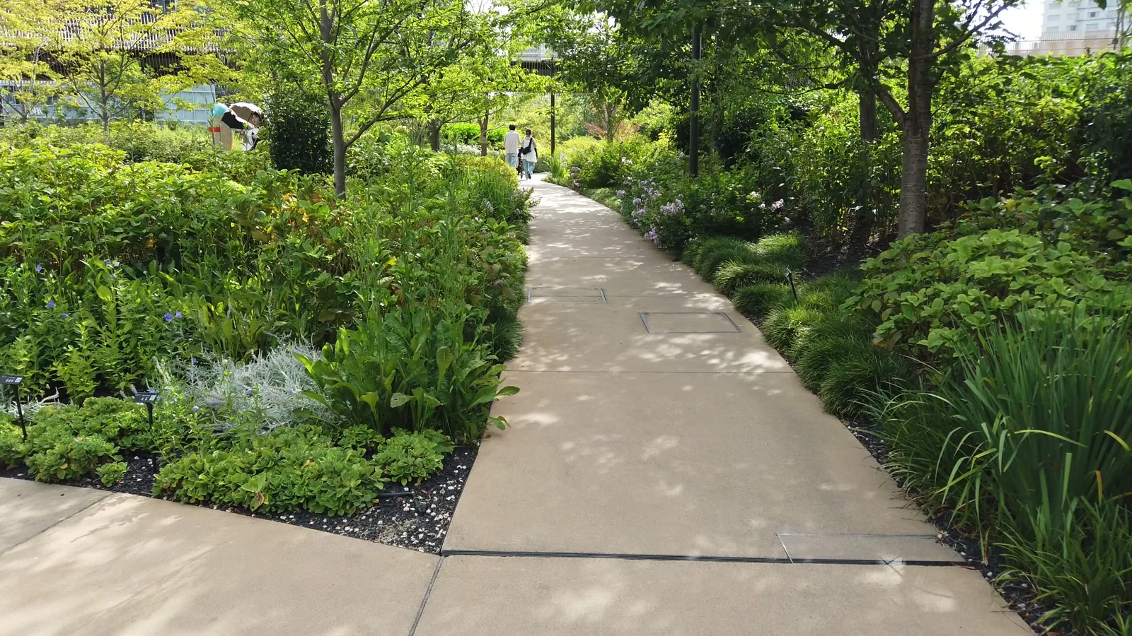 草花が両側に植えられた、うめきた公園の細い遊歩道。木漏れ日が路面に落ちている