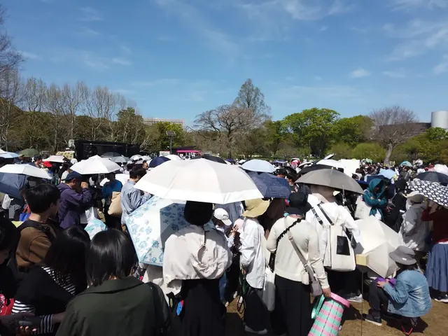 春空の下、日傘の人垣が広がる1周年イベント会場