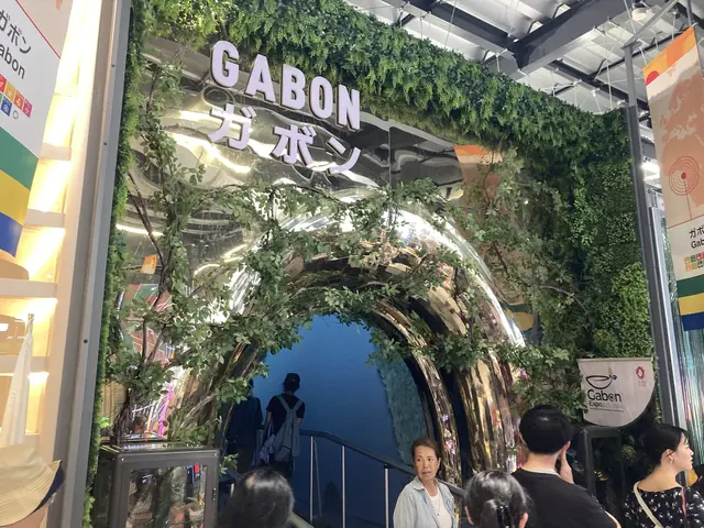 ガボン館の鏡面メタリックな入口アーチ