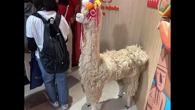文化遺産の展示