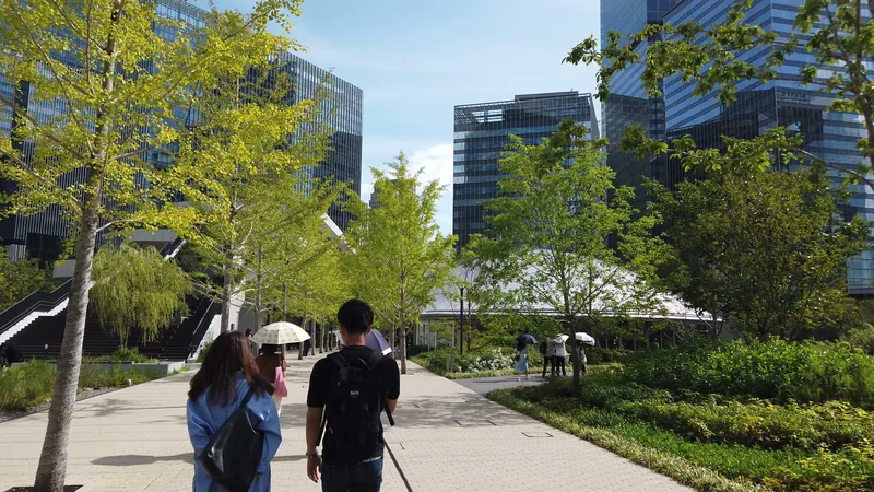 若い木々の並ぶ園路を歩く人の後ろ姿