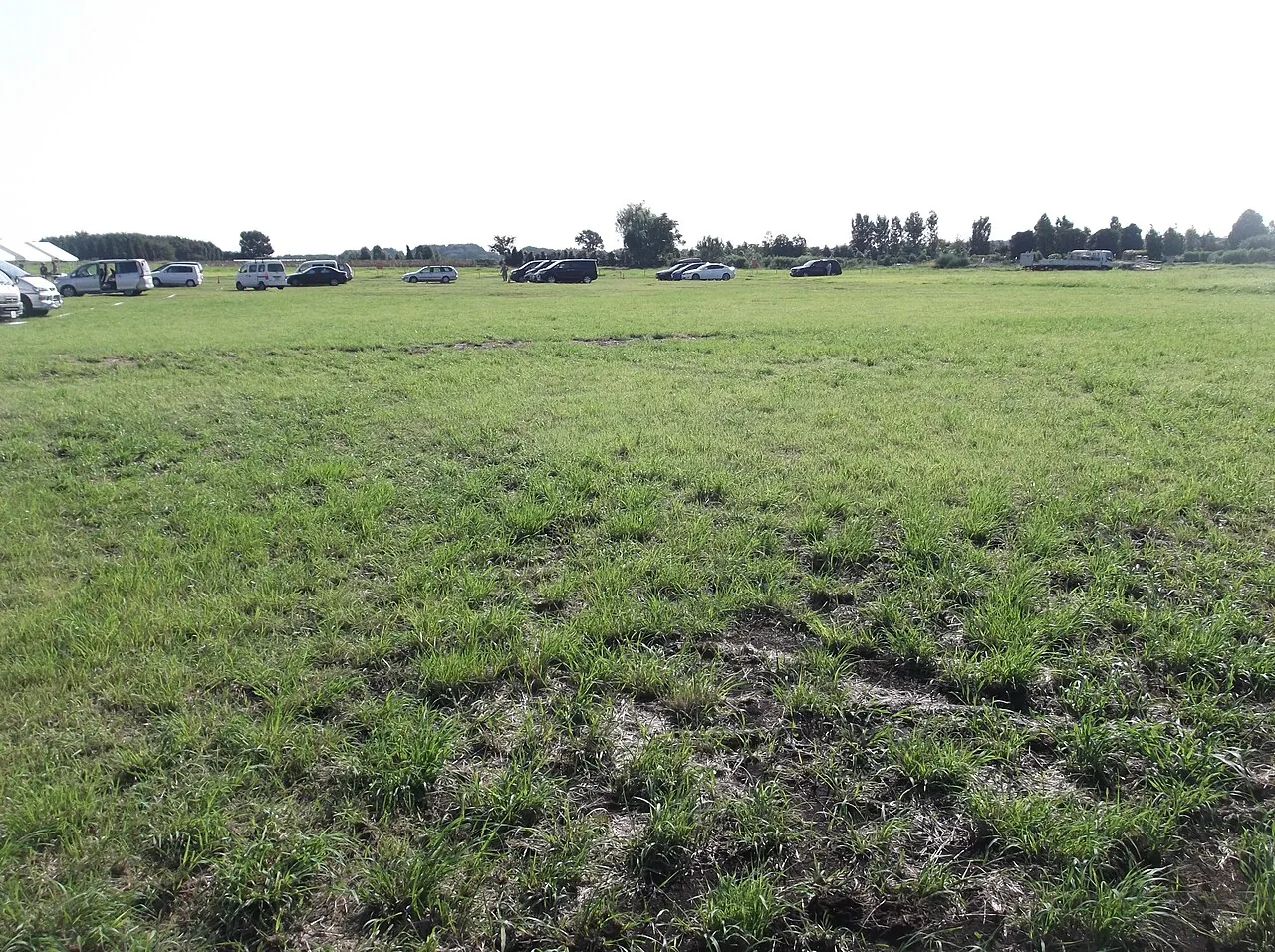地平線まで草地が続く旧上瀬谷通信施設の広大な跡地