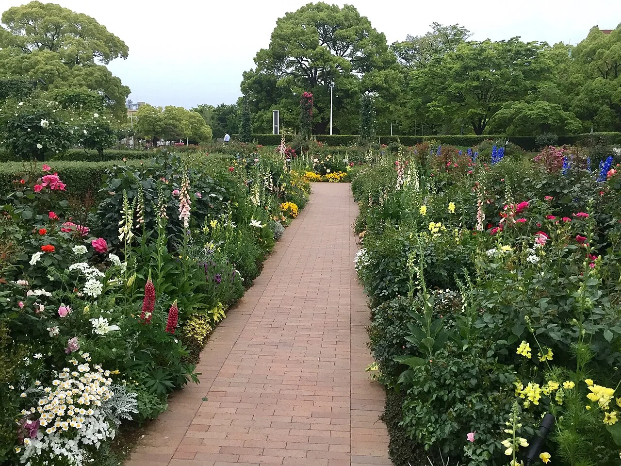 バラや草花に縁取られたレンガ敷きの小径が続く横浜・山下公園の花壇